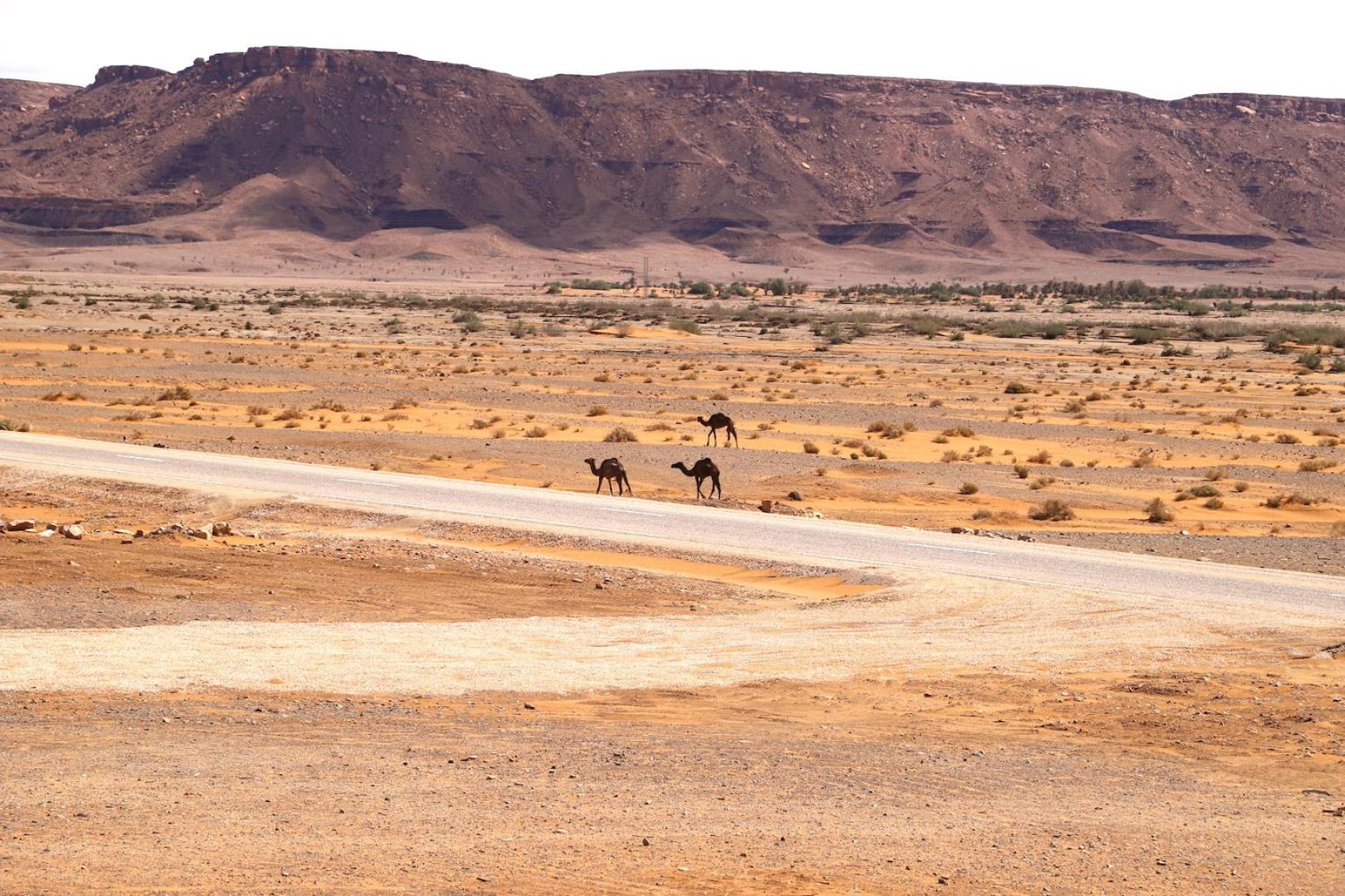 Porte De Sahara Ouzina 外观 照片