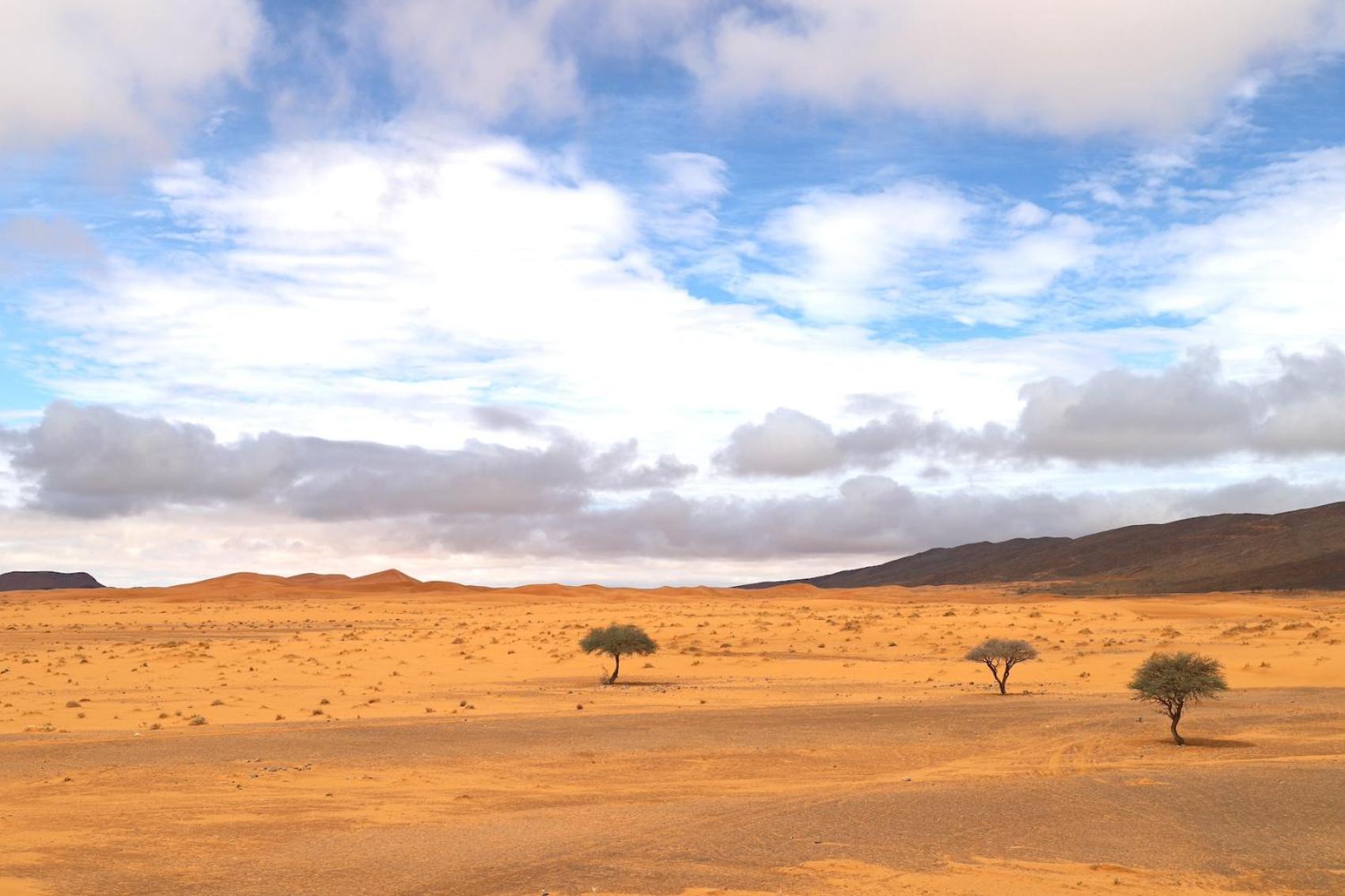 Porte De Sahara Ouzina 外观 照片